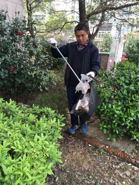 �����󺦡�Ԥ����������������������������������Э����������